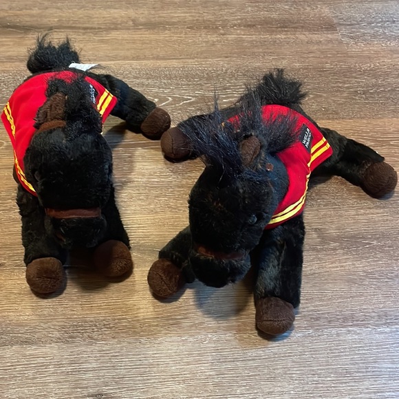 Wells Fargo Legendary Pony Mike 2016 - Picture 7 of 8